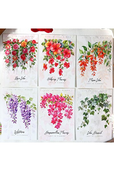 İthal P8-20 Pieces of Wisteria Flower Pet Sticker