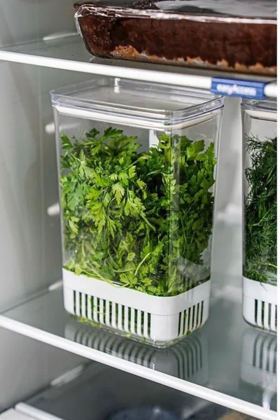 LeylArt 1 Piece 2900 ml Greenery Storage Container |   Vegetable Storage & Re...