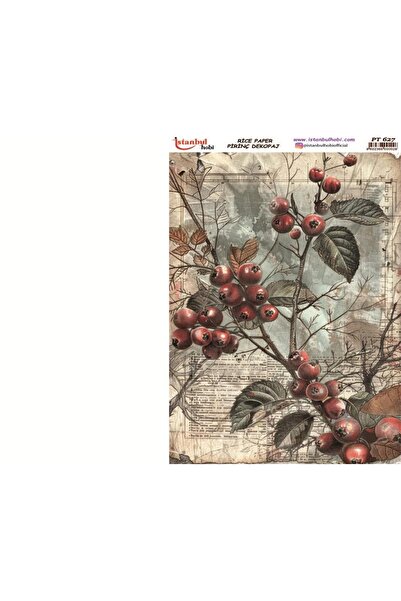 İstanbul Hobi Rice Decopage Paper 30X42Cm Pt-627 Flower Fruit
