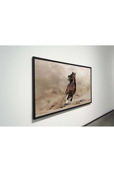 lawhat لوحات فنية خيل مطبوعة على قماش الكانفس موديل ( 2493)