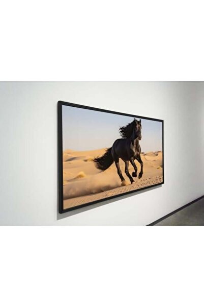 lawhat لوحات فنية خيل مطبوعة على قماش الكانفس موديل ( 2436)