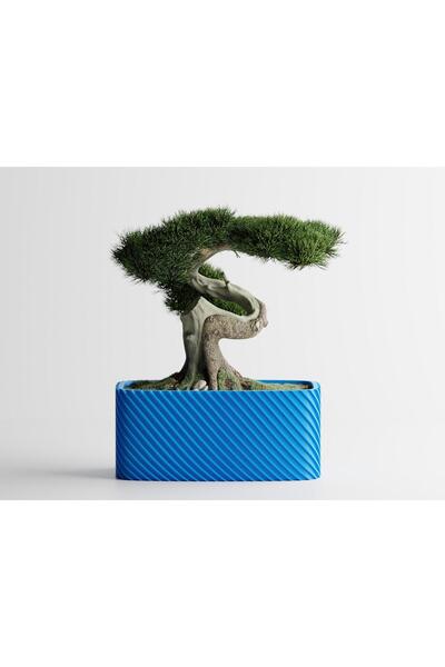 Sani Decorative pot Sani, Bonzai, large 185 x 103 x 80 mm, Cyan