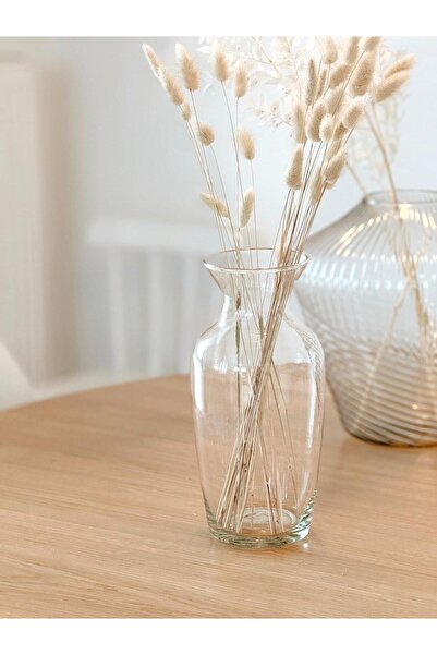 Hestia Home Düz Dar Cam Vazo