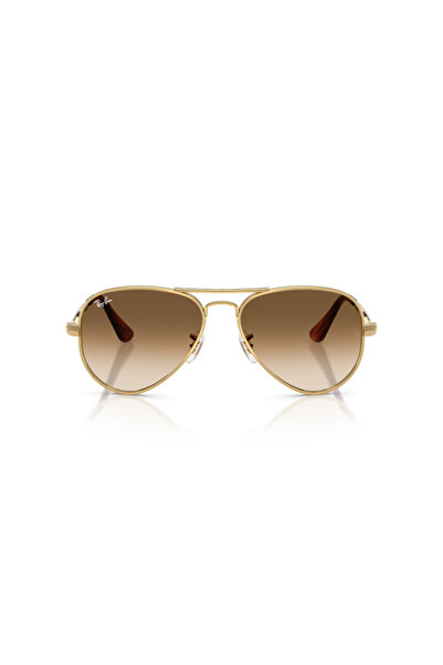 Ray-Ban Ray-Ban Sunglasses -RB-3925-001/51-62