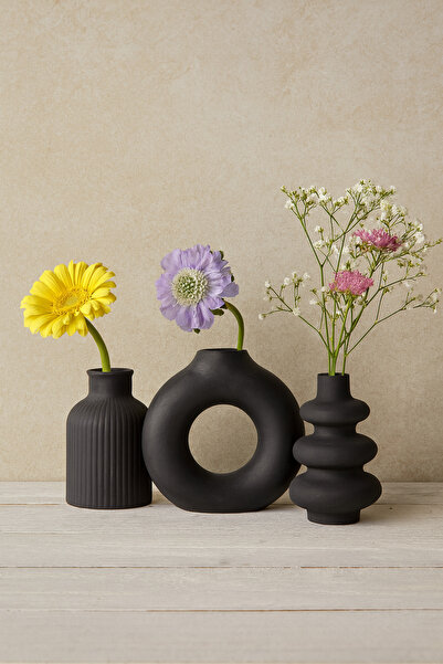 HBNC Modern Black Vase Set – Minimalist Decor with Natural Plants