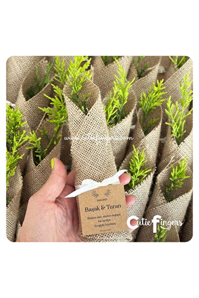 Cutie Fingers Nikah Hediyesi Limon Çamı (20 adet)