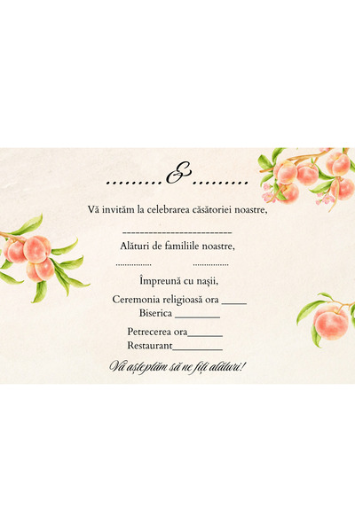 OEM Set 10 Invitatii nunta 10x15 cm cu plic, Model 42