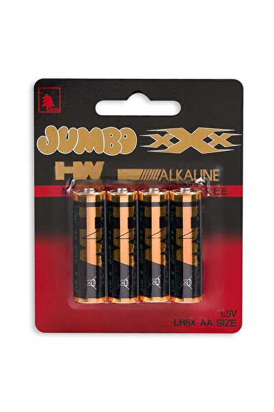 OEM AA Alkaline Batteries - 4 pcs