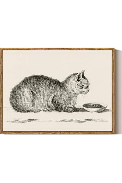 ALAYRA International Beautiful Canvas Wall Art Framed 30x40cm Elegant Modern ...