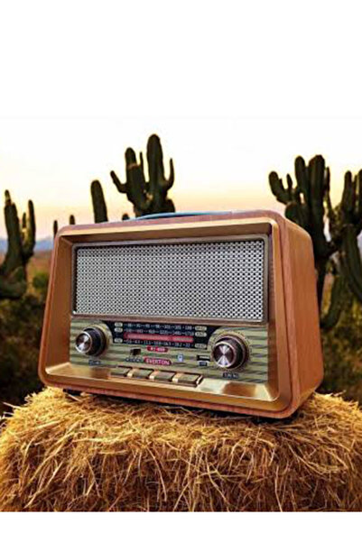 Everton RT-680 Nostajik Tasarımlı Modern Özellikli Bluetooth Radyo | USB-SD-F...
