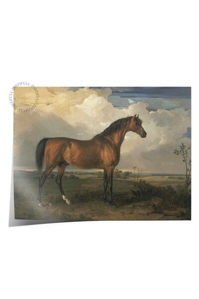 Postifull Tablou vintage, poster fără cadru, decor de perete vintage