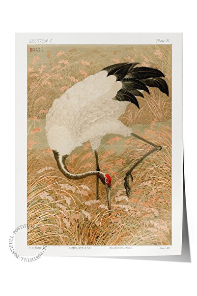 Postifull Vintage slika, poster bez okvira, vintage zidni dekor