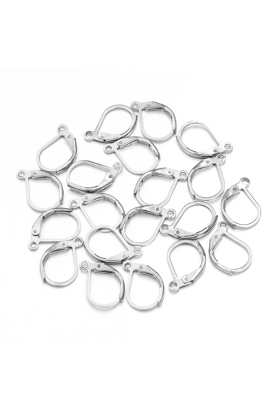 Choice 20pcs Steel Clip 20pcs Stainless Steel DIY Earrings Hooks Clasp Clip F...