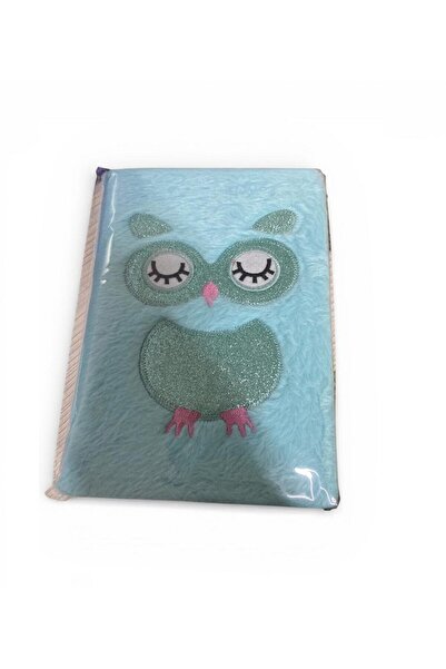 EREN HEDİYELİK 20 cm Owl Feather Plush Notebook 0162