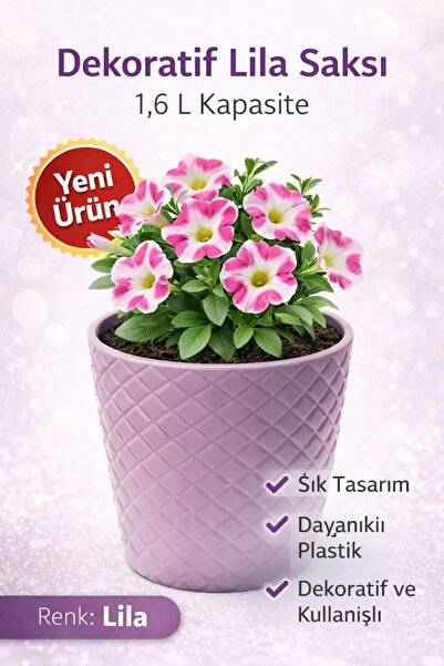 MF Botanik Karasu Kesme Saksı Lila