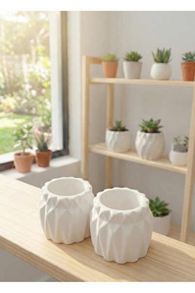 Dekoratif Taş Saksı 2'li Mini Set - Kaktüs ve Sukulentlere Uygun