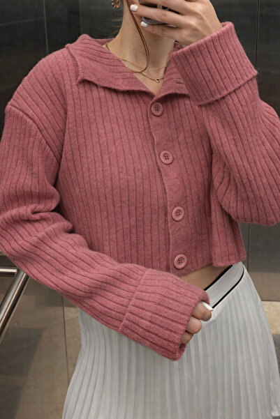 Noi Belis Basic Crop Soft Textured Stand Collar Knitwear Cardigan Aw25Hi0004