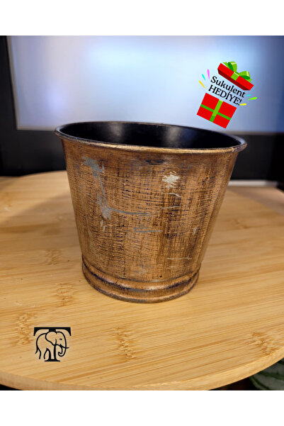 Turapia Design Vintage Dokulu El Boyaması Metal Saksı 9x11 cm