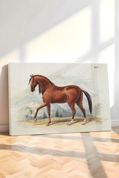 Postifull Tablou vintage, pictură pe pânză, decor de perete vintage