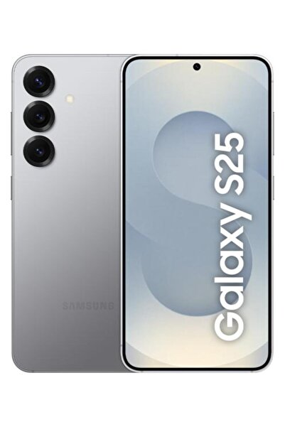 Other SAMSUNG Galaxy S25 5G Smartphone 12/128GB Argintiu (Silver Shadow)