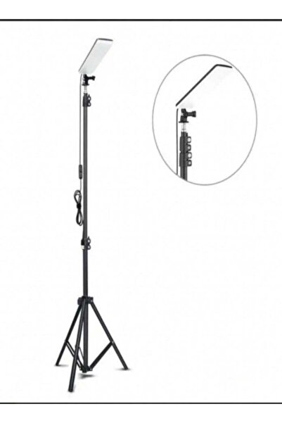 LC LED Floor Lamp with Adjustable Stand and Flexible Neck – Modern Standing L...