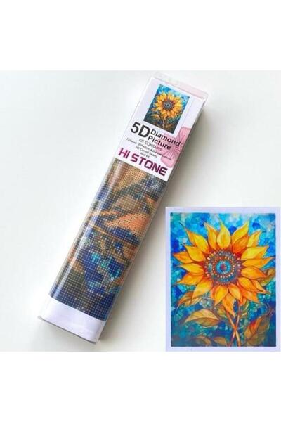 NT Boncuklu Taşlı Pano Çocuklar İçin Mozaik Elmas Goblen Diamond Tablo 30x 40...