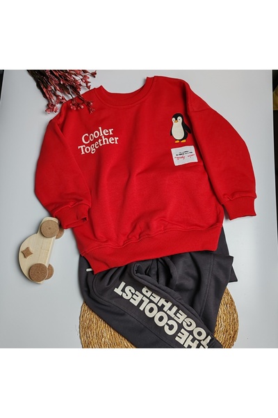 moda rüyası Boy's Red Tracksuit Set Penguin Printed