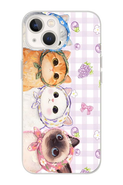 moonset Iphone 15 PLUS Uyumlu Baskılı Yumuşak Silikon Şeffaf Telefon Kılıfı