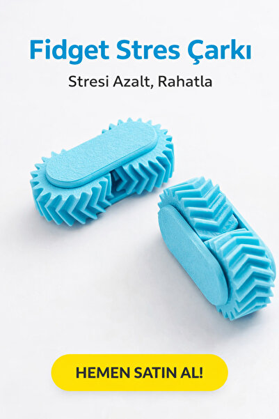 Şirin 3D Tasarım Rahatlatıcı Döner Stres Çarkı – Sessiz, Akıcı Dönüş – 2’li Set