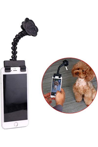 MultiZone Pet Photo Shooting Apparatus – Camera Attractive Toy Apparatus for ...