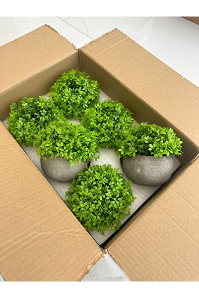 FB Cup 6 قطع من مسحوق الحجر أزرق بلون الكوبالت أوراق خضراء صناعية - مجموعة كر...