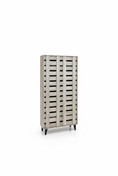 Generic Luxury Vertical 2-Door Shoe Cabinet - Tall Space-Saving Design (80x30...