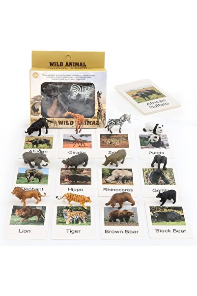 Arabest Small Montessori animal doll with flash card, material preschool scie...