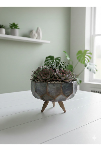 Alba Home Decor Sukulent kaktüs ahsap ayaklı saksı