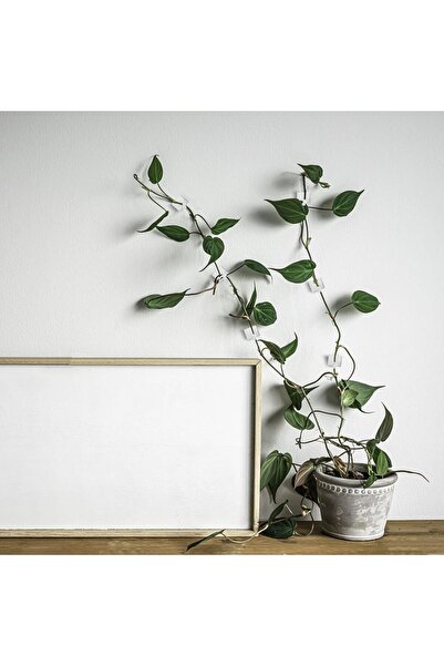 LICCIA 10 Adet Bitki Klipsi Sarmaşık Çiçek Tutucu Duvar Tutturma Aparatı Yapı...