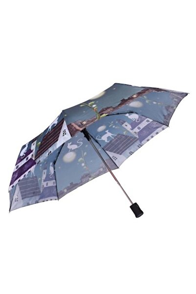 Susino Pisica de pe acoperiș, umbrelă,