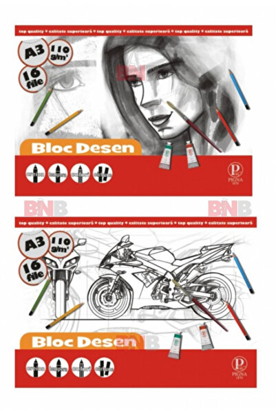 PIGNA Bloc de desen A3, 110g, 16 pagini, diverse modele,