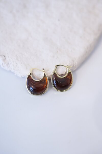 Ladies&Gentlemen Classic Brown Detailed Gold Interlocking Hoop Earrings