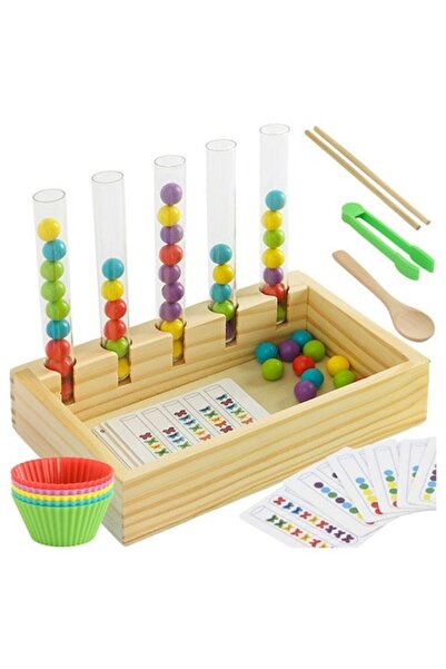 OEM Montessori Educational Toy Baoblaze, Color Sorting and Counting