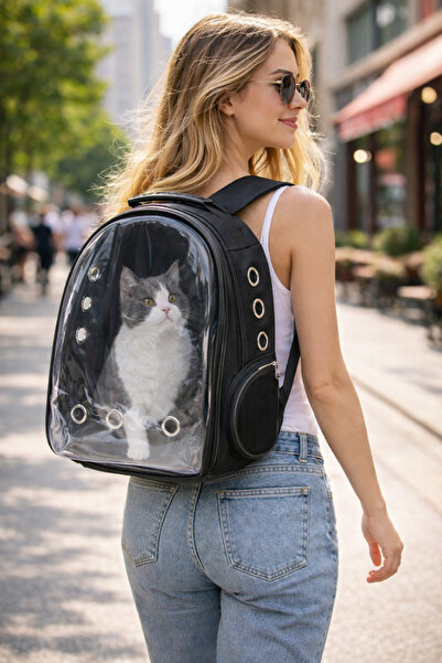 World Star Şeffaf Hava Kanallı Kırılmaz Cam Kedi Köpek Taşıma Seyahat Çanta 4...