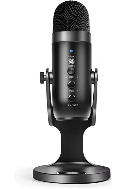 Arabest USB Microphone Professional Condenser Microphone Computer Laptop Reco...