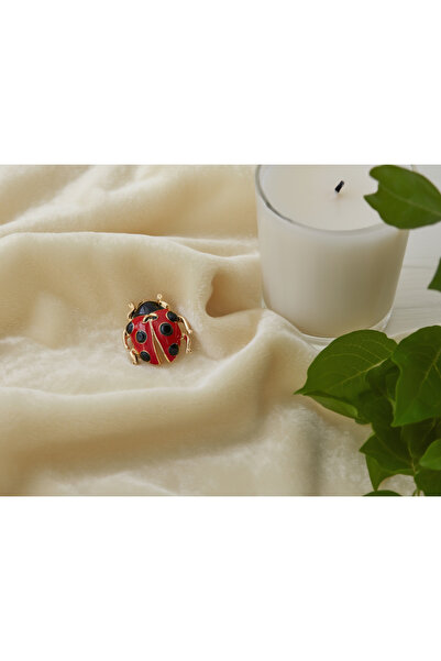 İZEV Uğur Böceği Figürlü Broş