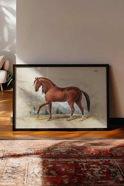 Postifull Tablou vintage, poster cu cadru negru, decor de perete vintage