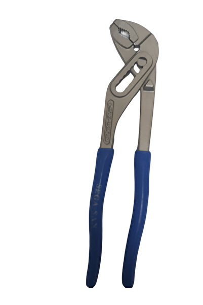 Seg segsan ford papağan pense