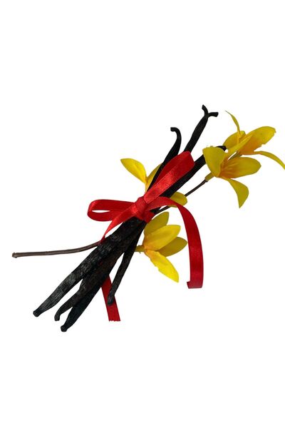 KSpices - Vanilie din Madagascar 10 Buc Pastai Vanilie Bourbon de Madagascar,...