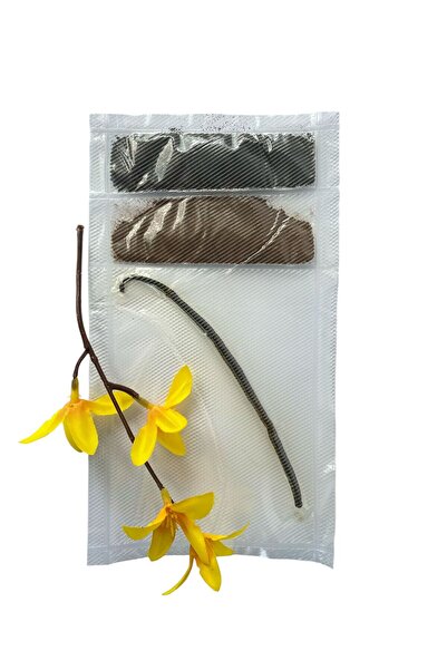 KSpices - Vanilie din Madagascar Pachet Premium Vanilie Madagascar: 1 Păstaie...