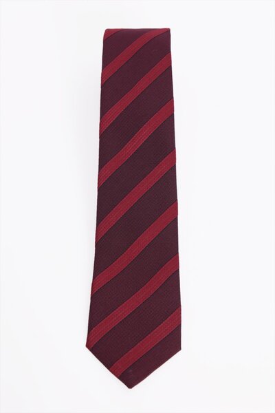 Tudors Patterned Classic Men's Tie with Pocket Handkerchief