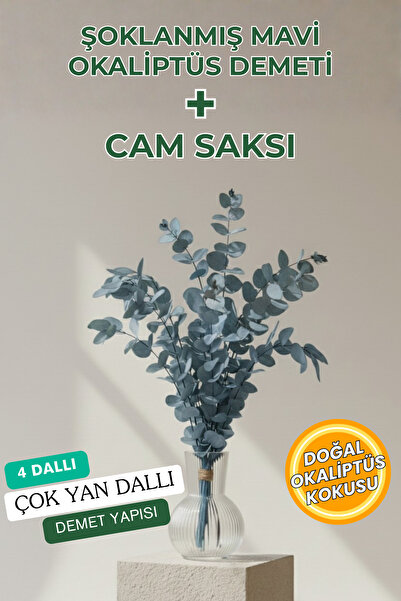 kolyosmarket Real Shocked Eucalyptus Bundle and Transparent Striped Decorativ...