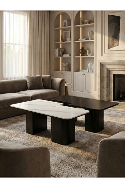 BEC49 Modern coffee table set - luxurious marble top and wooden base