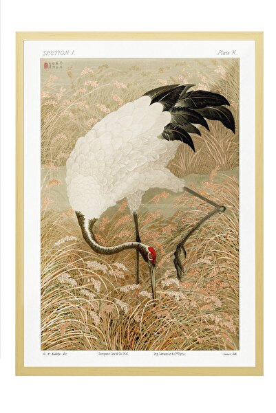 Postifull Vintage Tablo, Bej Çerçeveli Poster, Vintage Duvar Dekoru